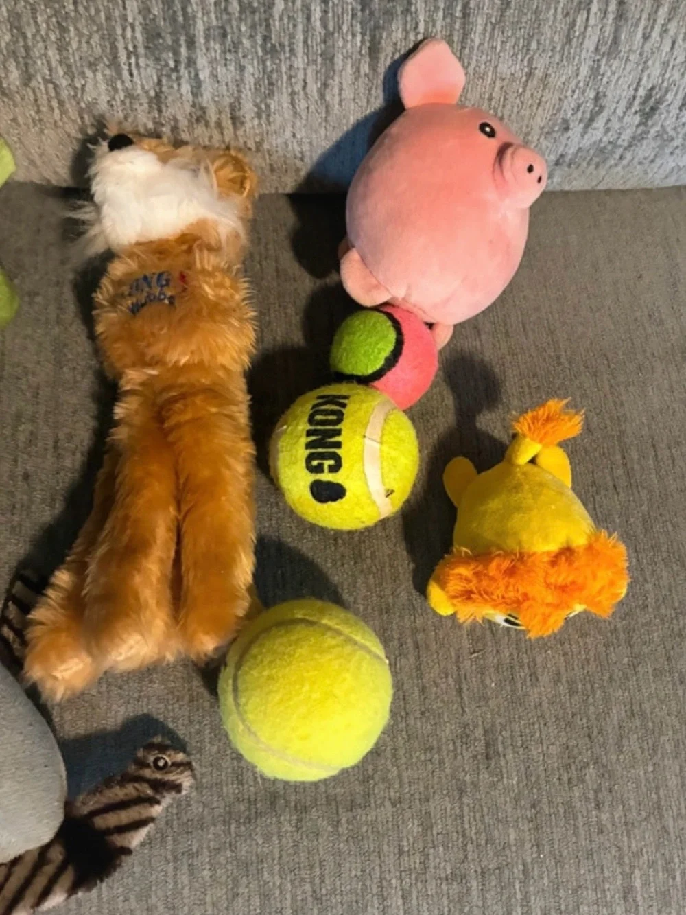 Kong Yellow Tennis Ball with Plush Pig and Assorted Plush Dog Toys